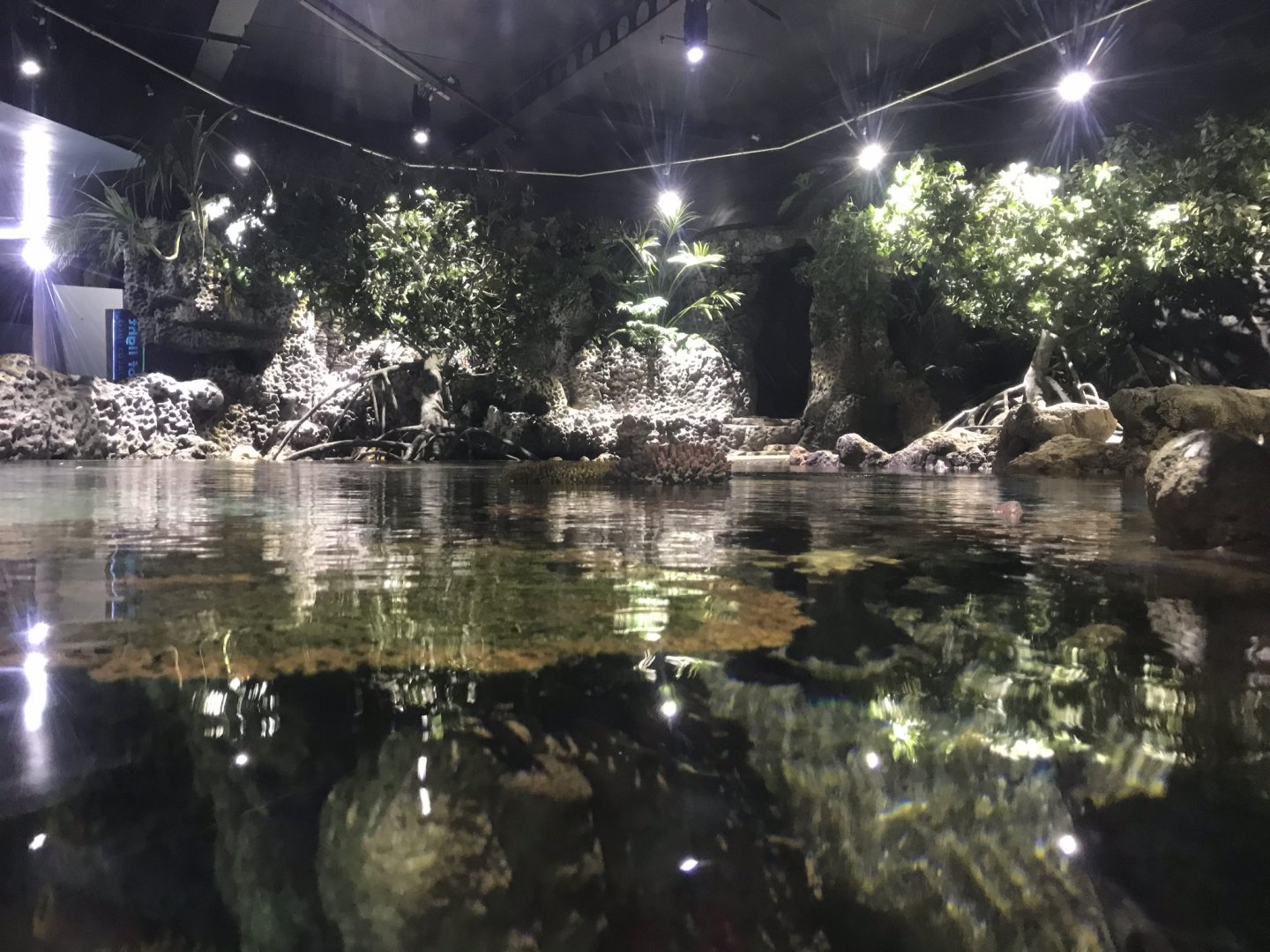 Lagoon of Light - view from other side 260519