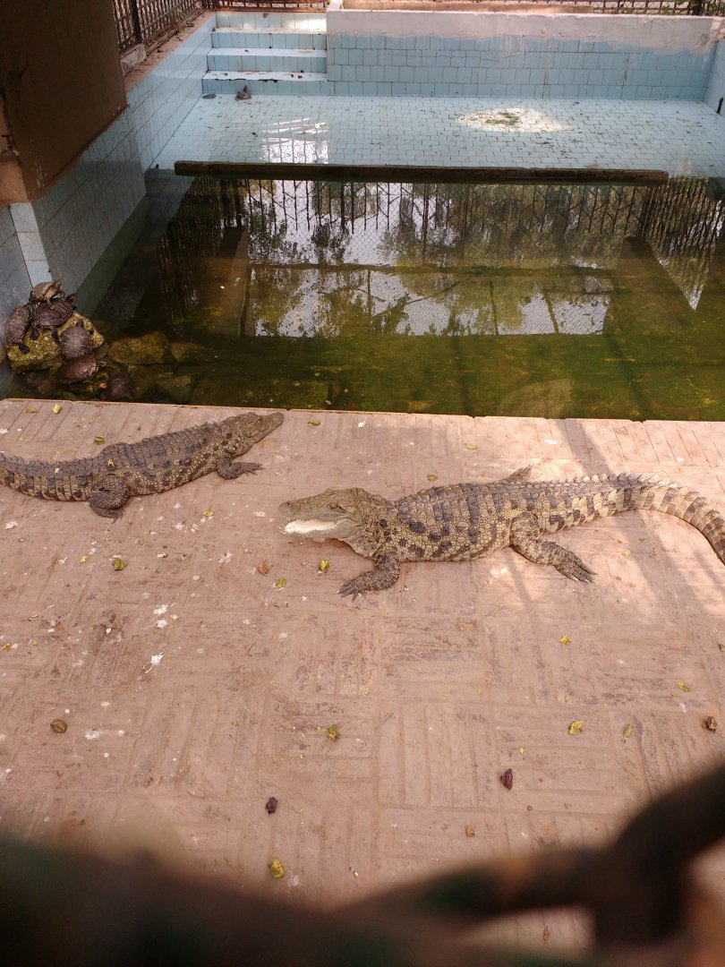 Lahore Zoo (Pakistan)