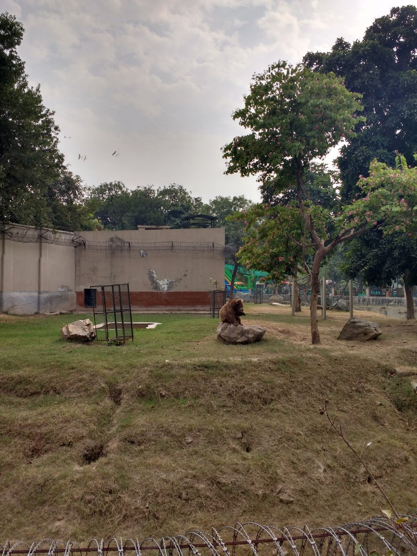 Lahore Zoo (Pakistan)