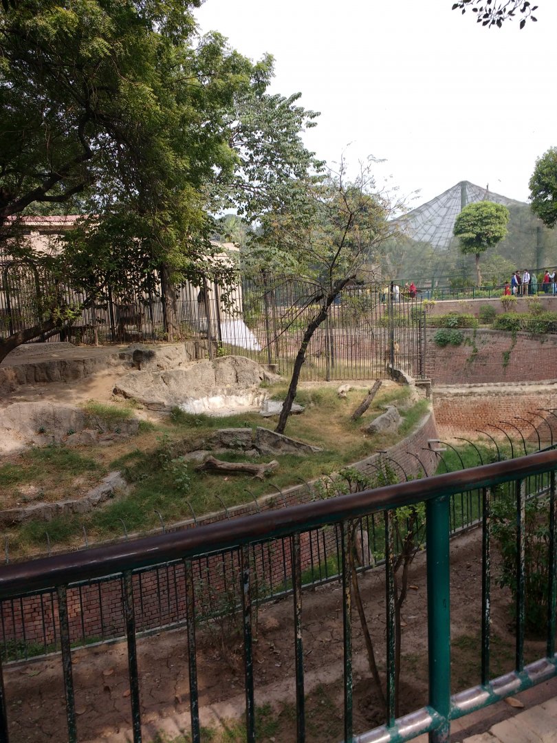 Lahore Zoo (Pakistan)
