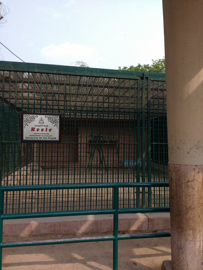 Lahore Zoo (Pakistan)