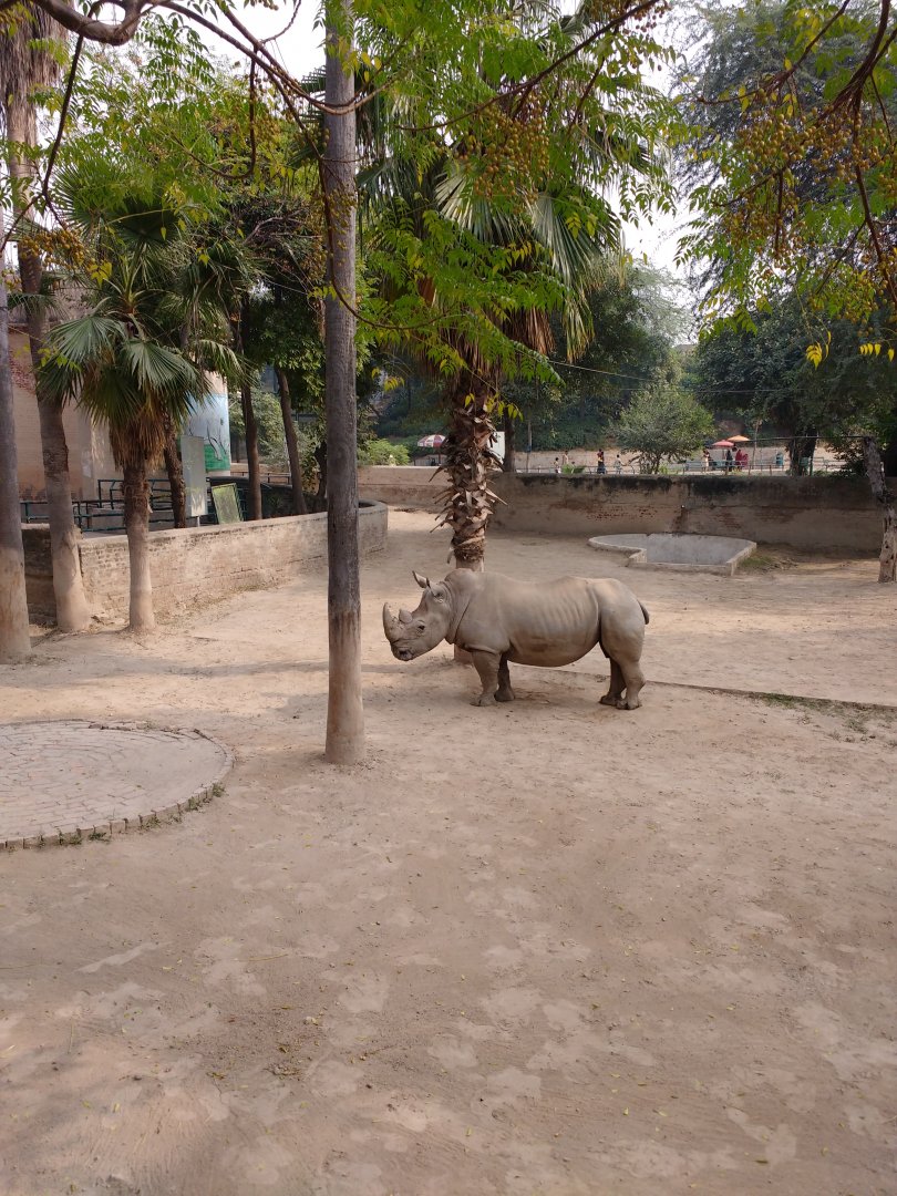 Lahore Zoo (Pakistan)