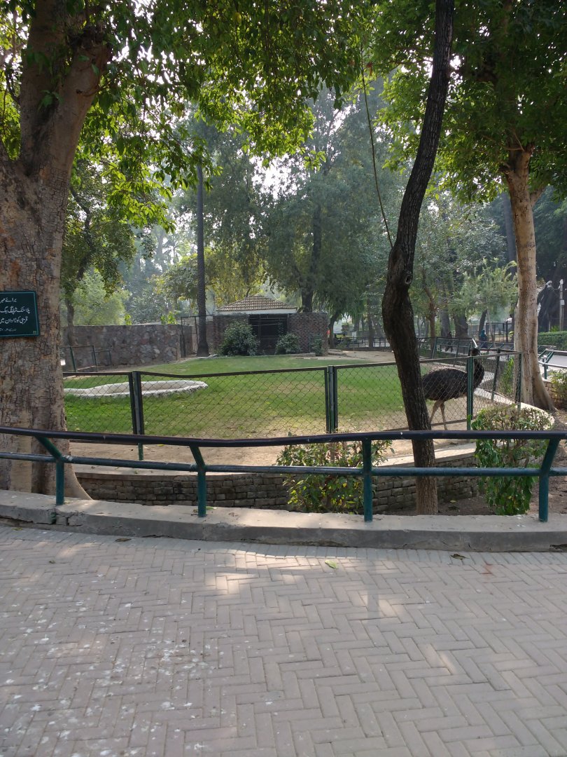 Lahore Zoo (Pakistan)