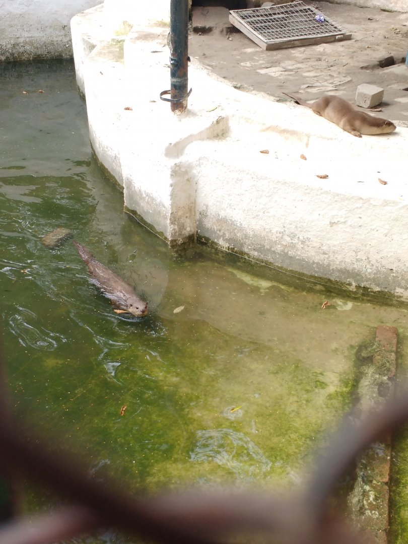 Lahore Zoo (Pakistan)