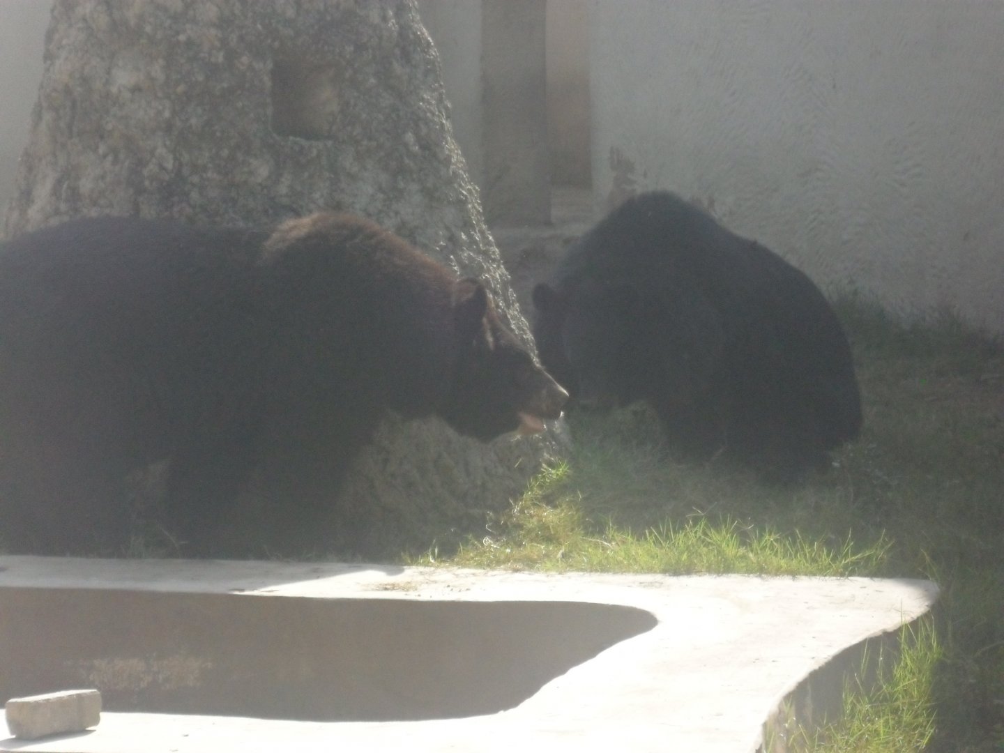 Lahore Zoo (Pakistan)