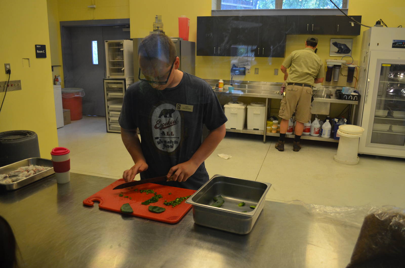 LAIR: A Behind The Scenes View