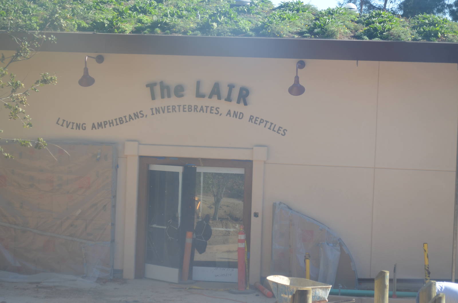 LAIR Entrance
