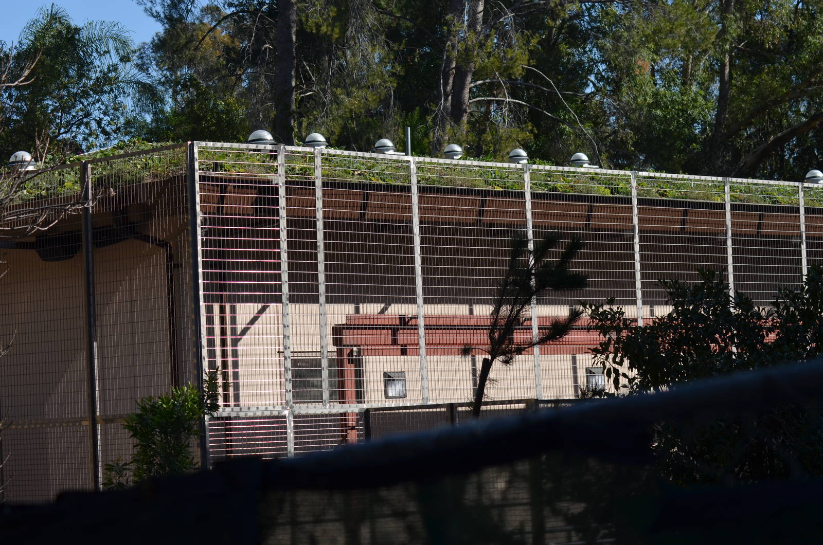 LAIR MAIN BUILDING - December 27, 2011