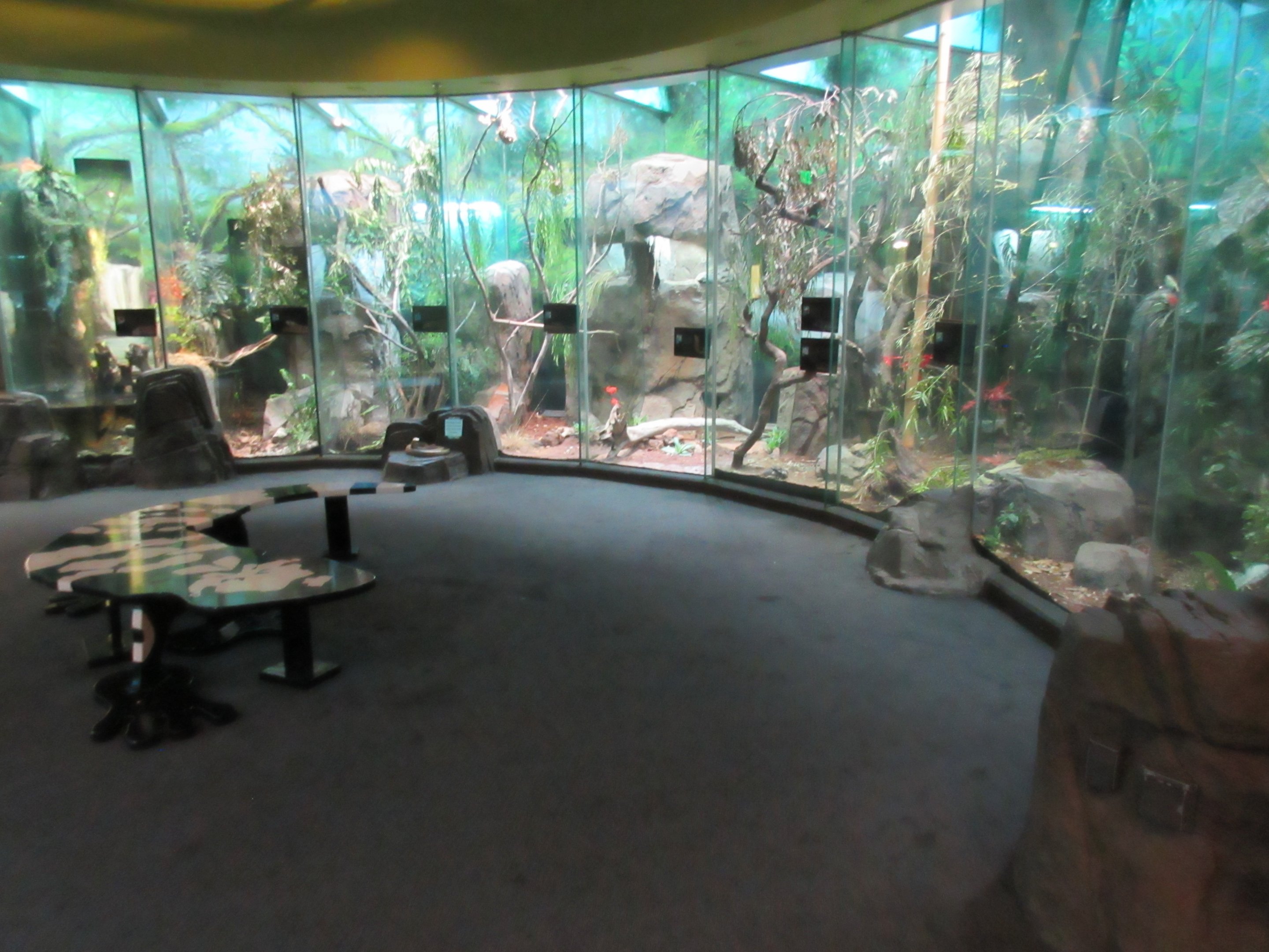 LAIR - Outstanding Terrariums