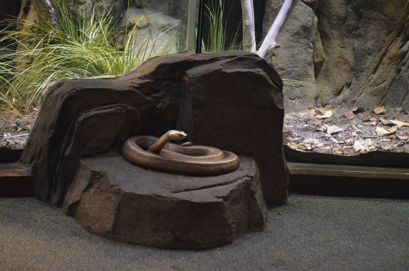 LAIR Snake Sculpture