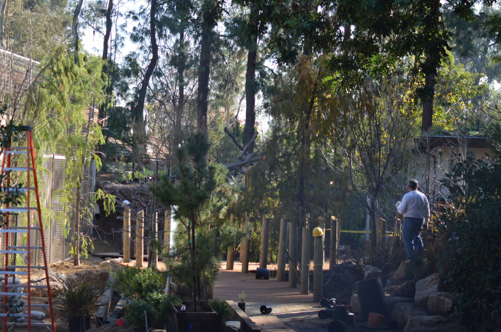 LAIR WALKWAY - December 27, 2011