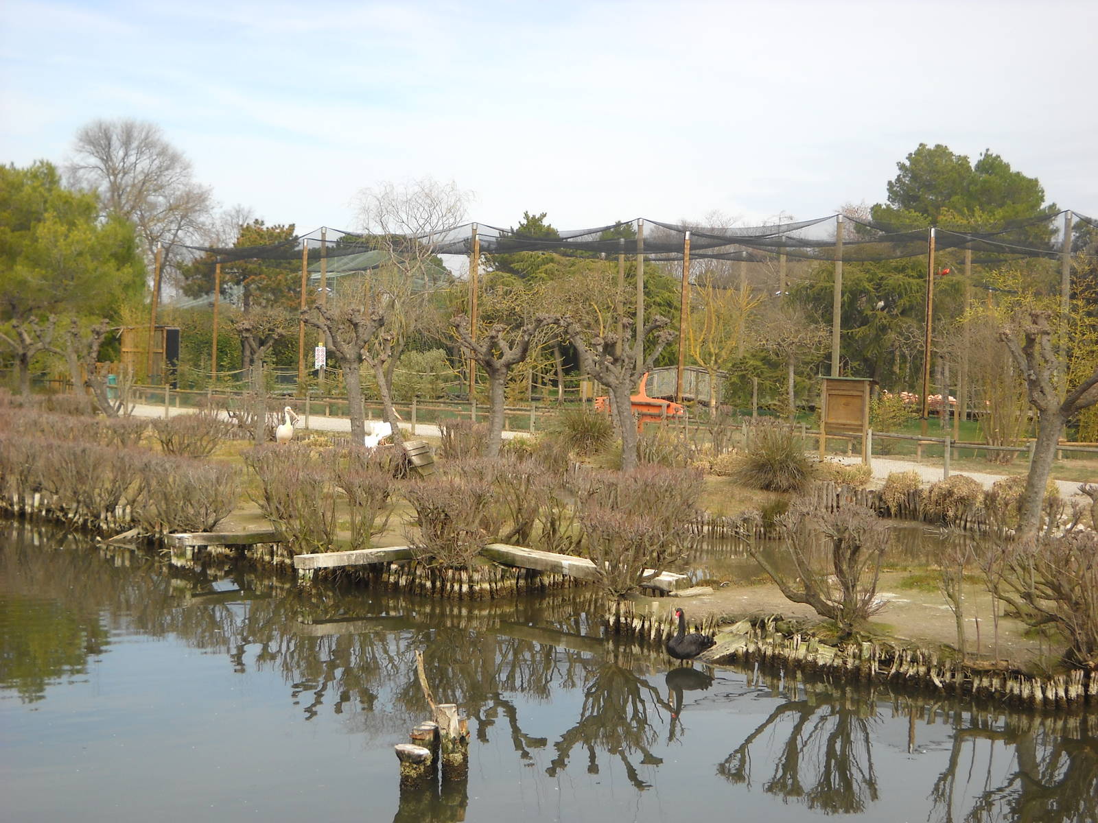 Lake and walk-in aviary march 2013