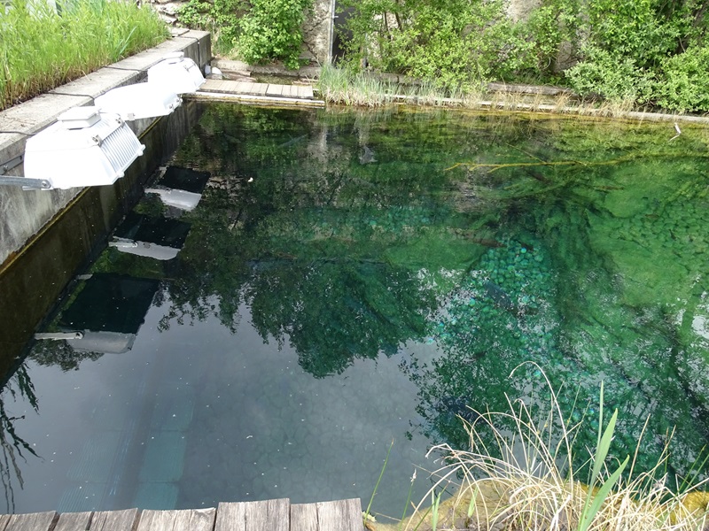 Lake Aquarium, top view