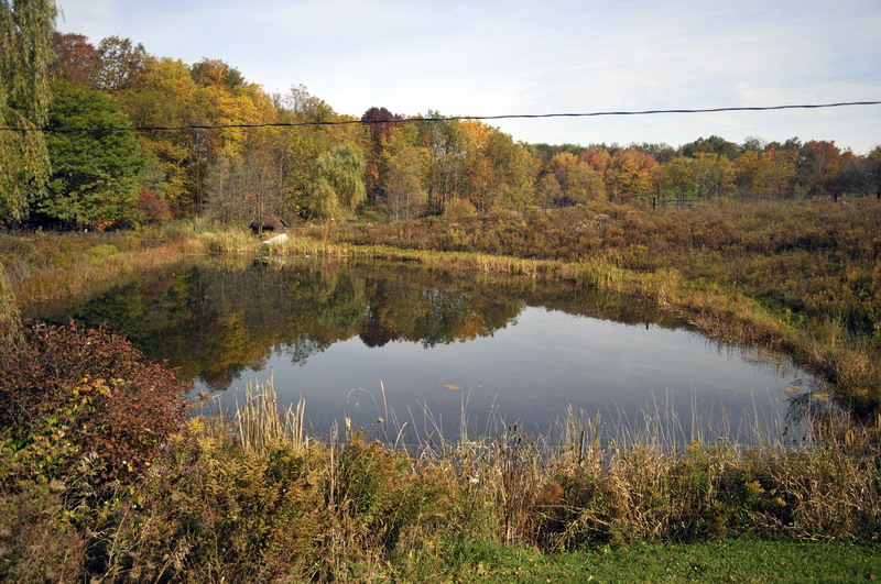 Lake at Twin Vally Zoo