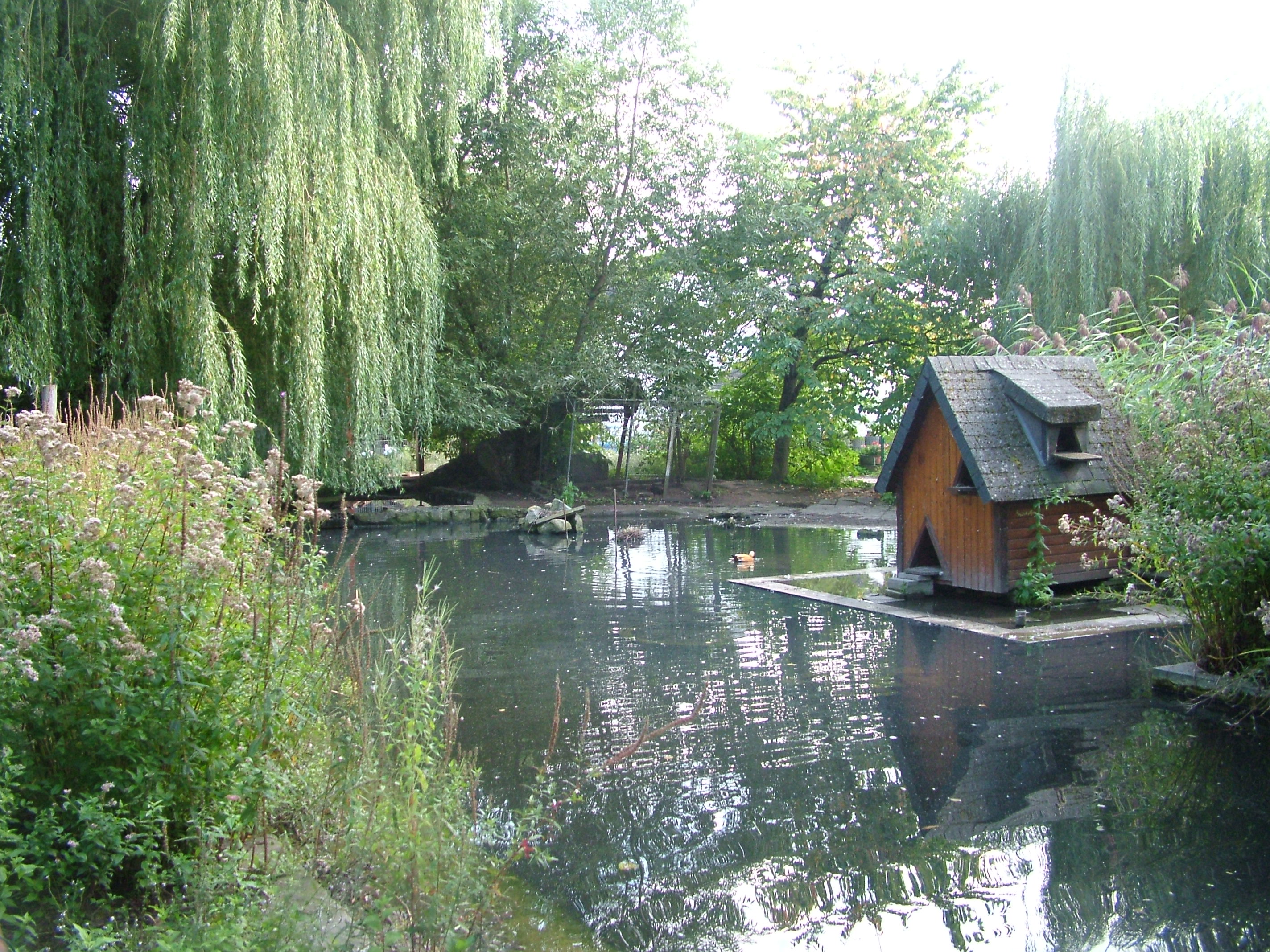 Lake at Vogelpark Heglachaue, 3rd Sept 2010