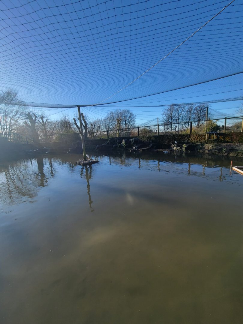 Lake Aviary 1