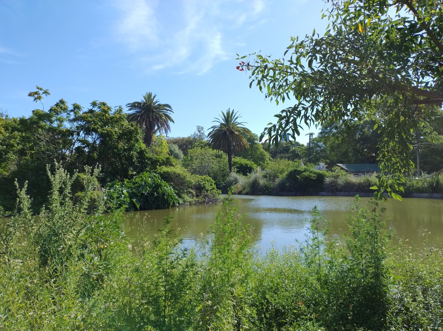 Lake Azara - Ecoparque BA