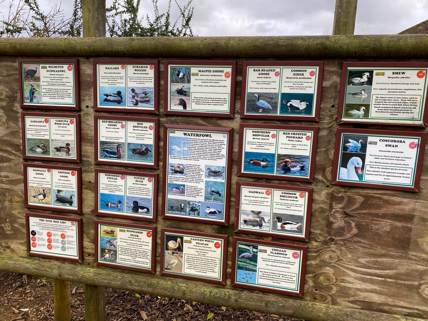 Lake bird signage, CWP
