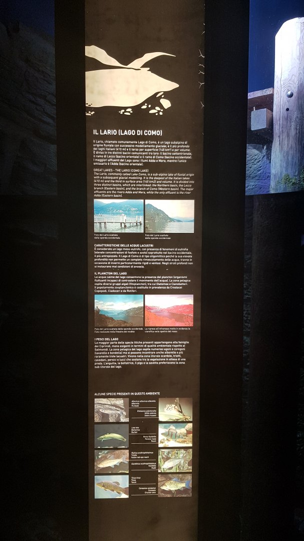 Lake Como exhibit