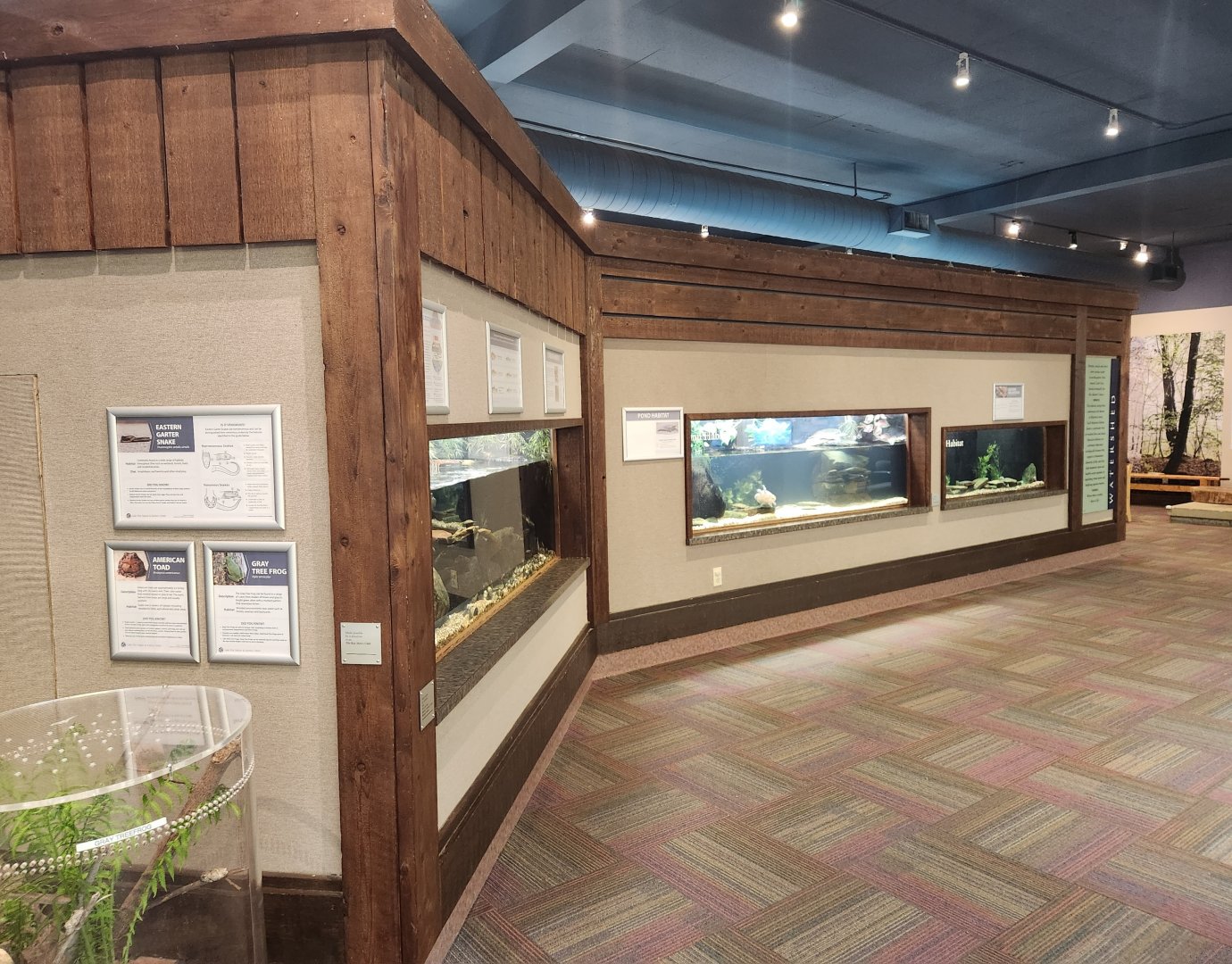 Lake Erie S&NC - Lake Erie aquatic exhibits