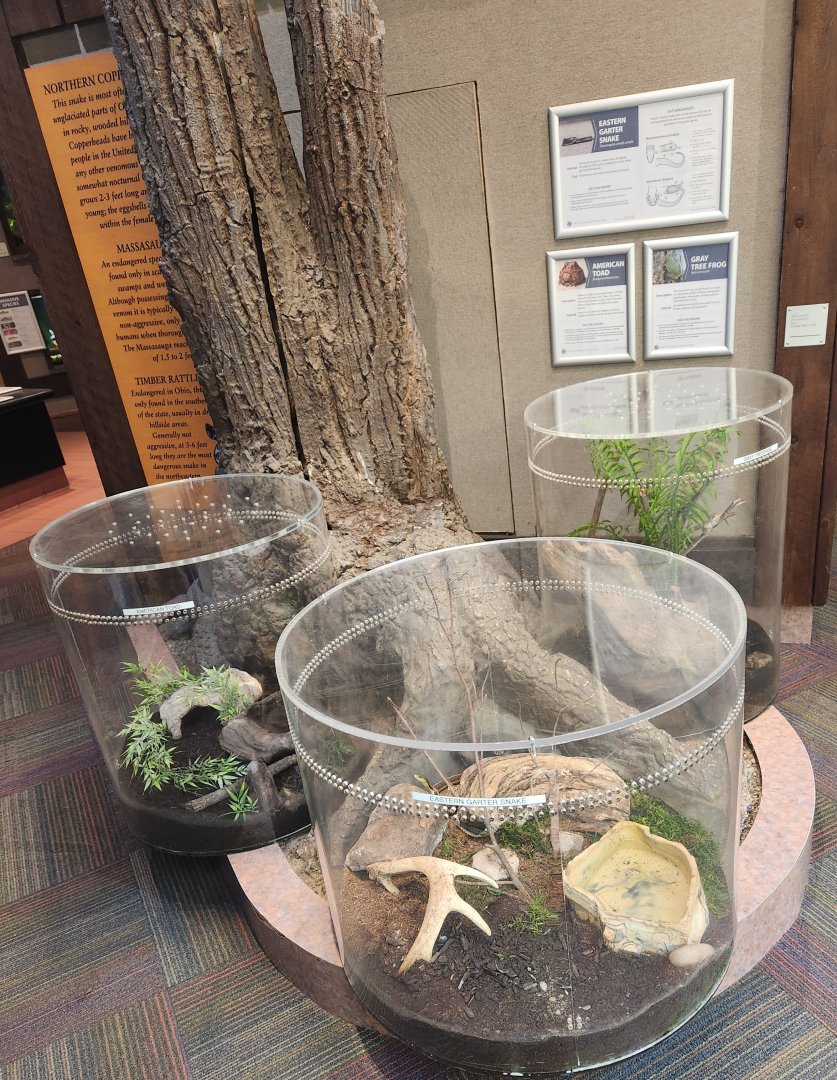 Lake Erie S&NC - Some herp enclosures