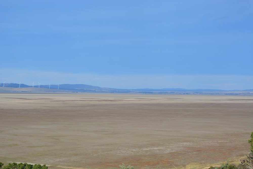 Lake George.  Largest lake in NSW.  Empty.