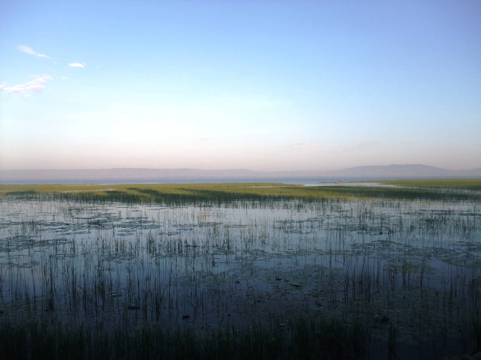Lake Hawassa, 17/10/14