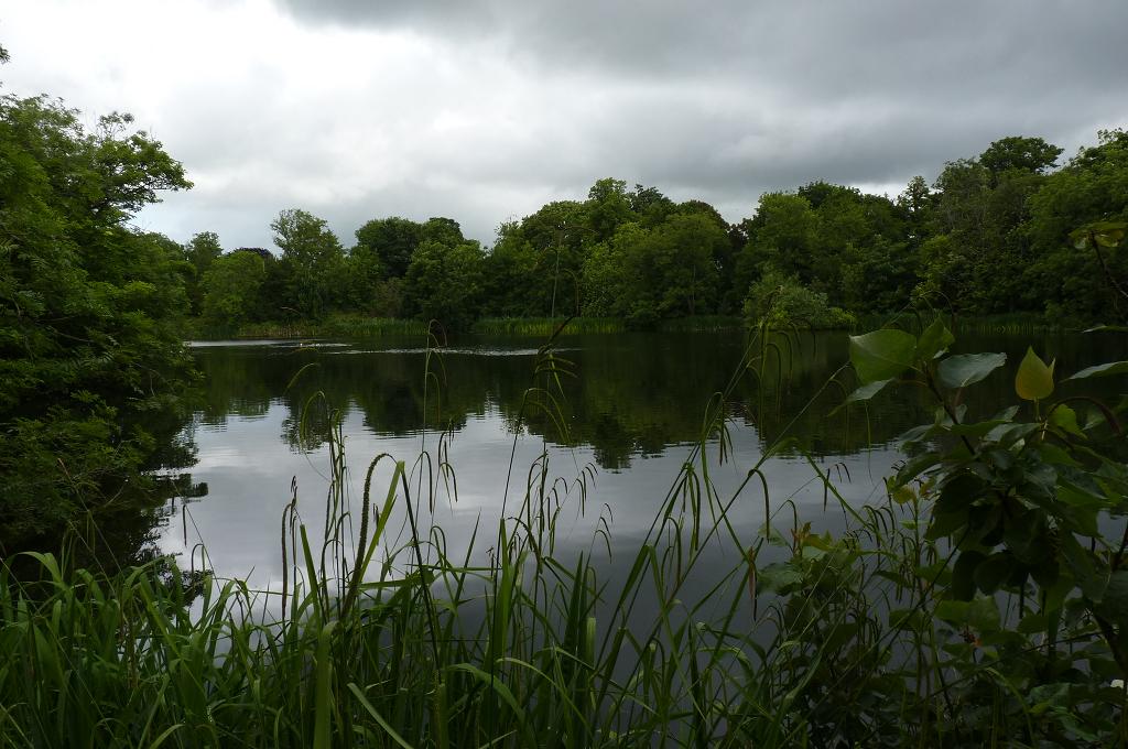 Lake in African Plains area, June 2012