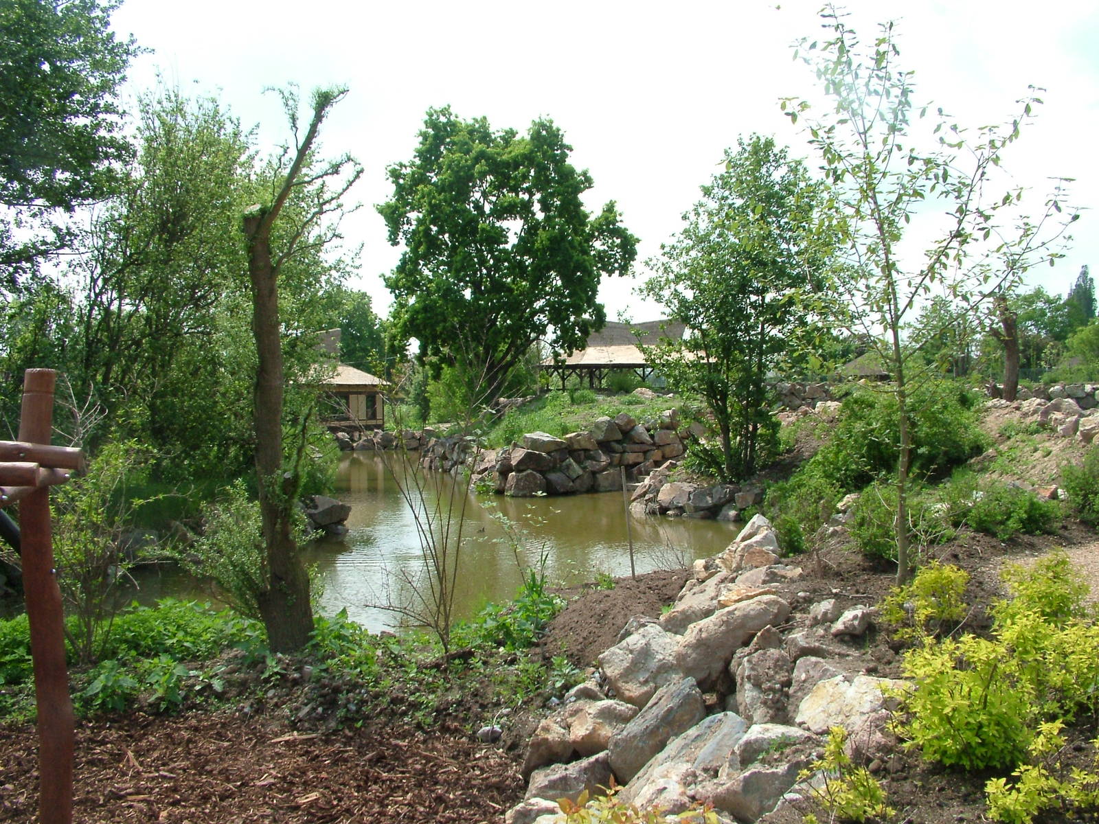 Lake in Asian area at Plzen, 25/05/10