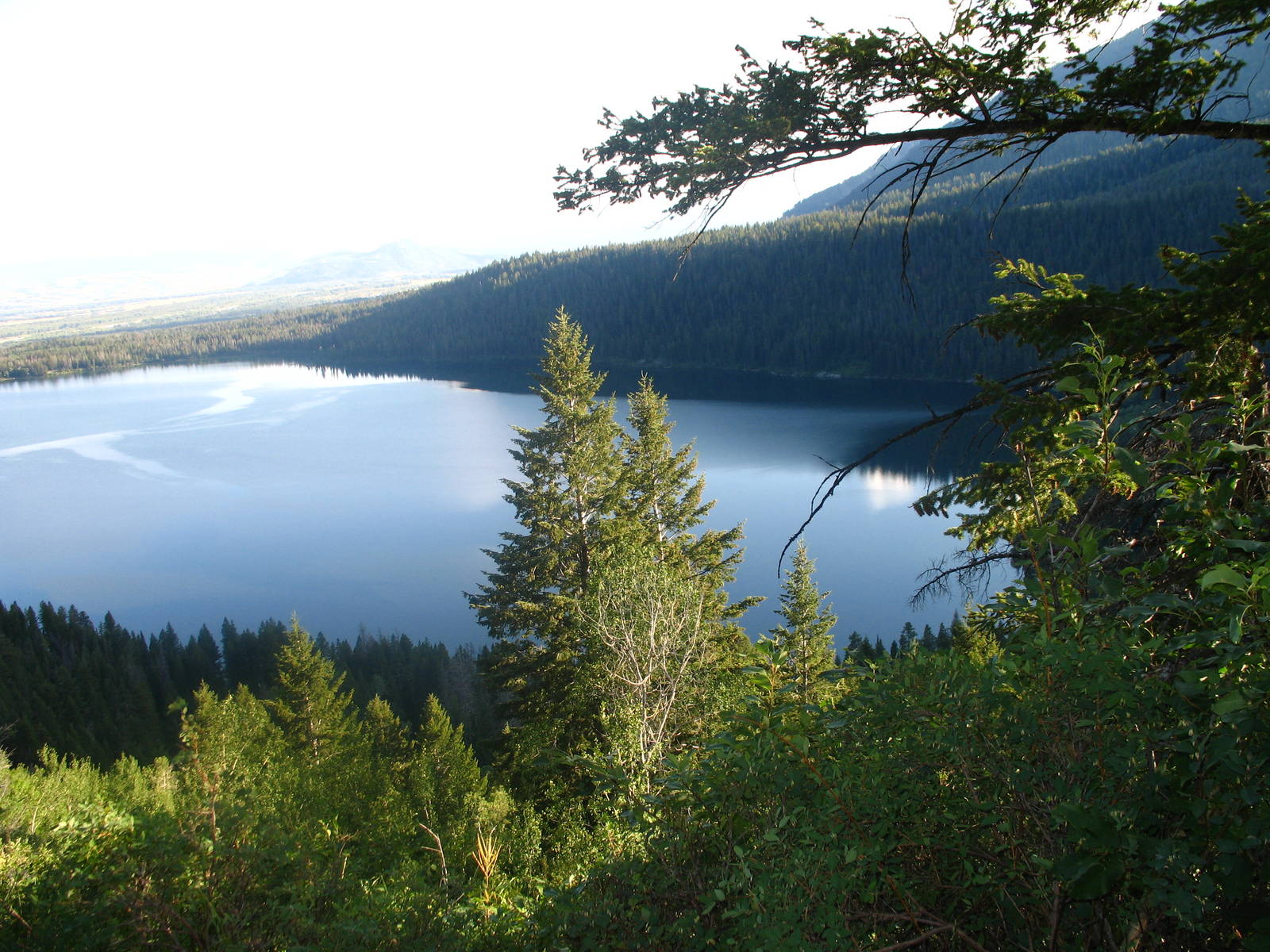 Lake in Grand Teton National Park