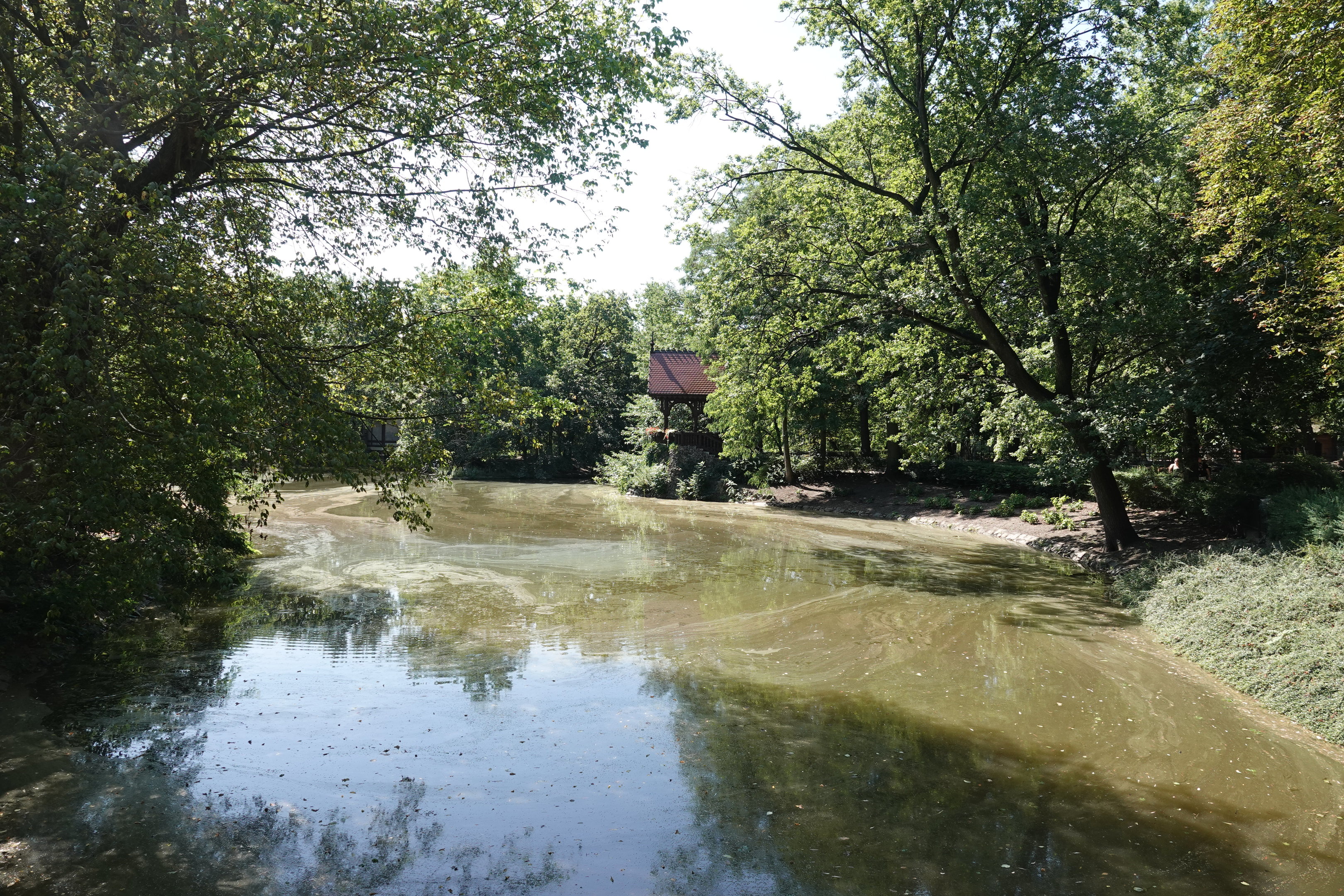 Lake in the older part of the zoo