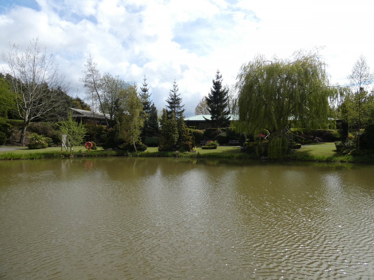 Lake in the zoo
