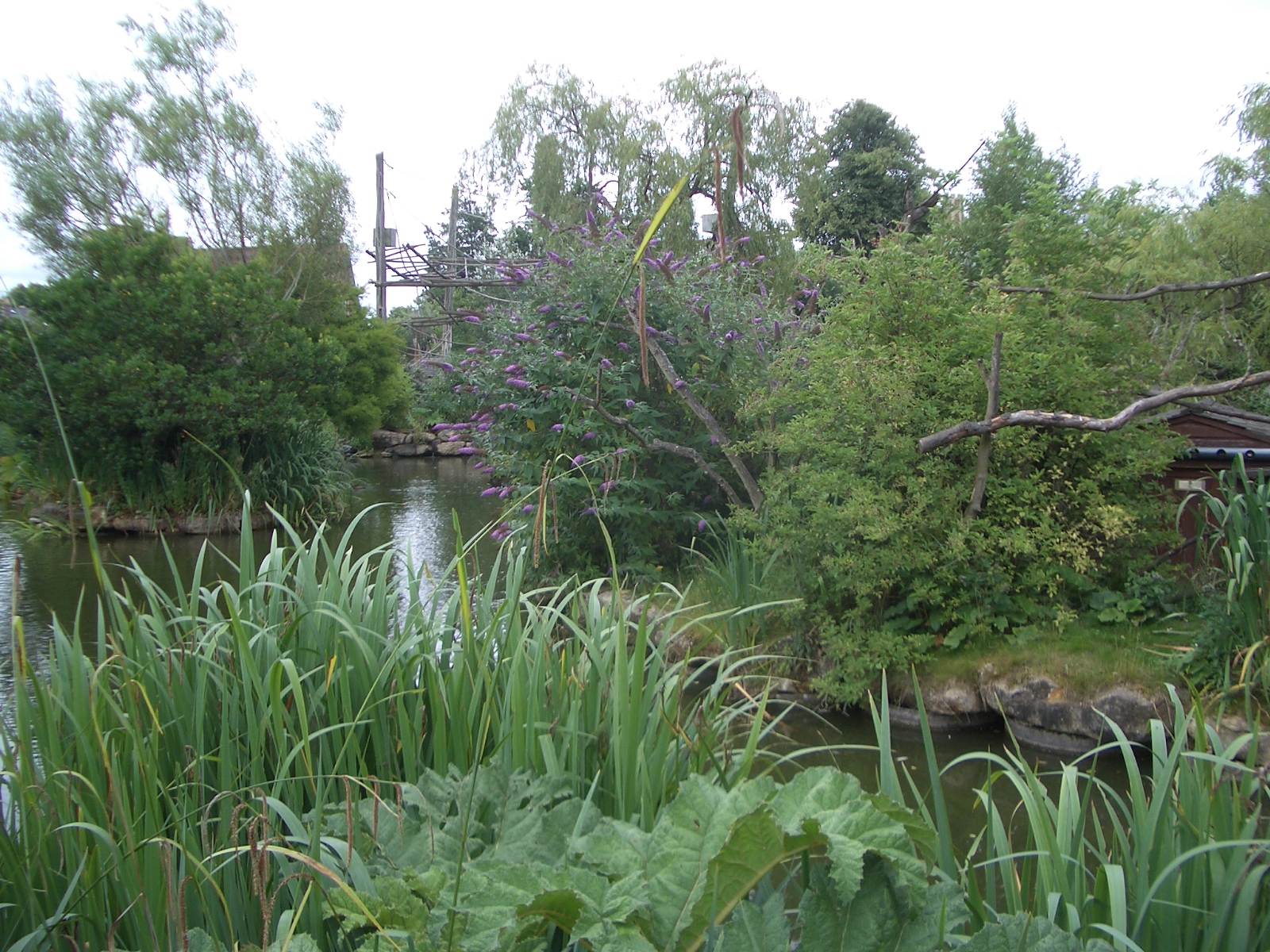 Lake Islands - 24.07.2010