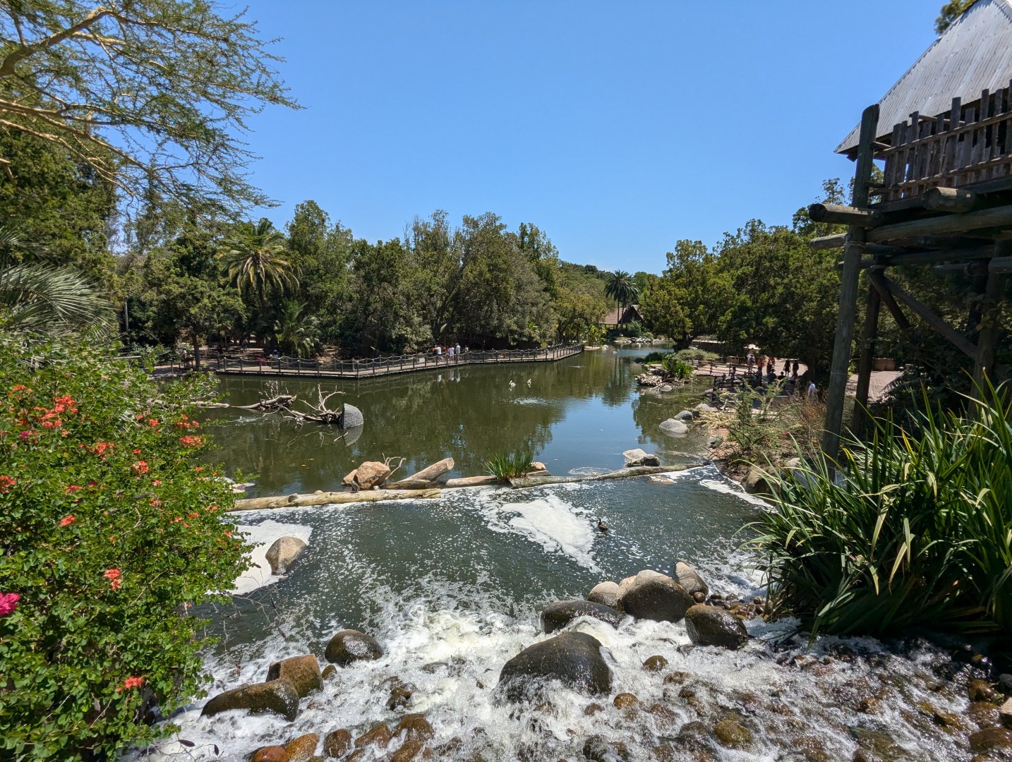 Lake (Lagoon) in the Entrance/Nairobi Walk Area