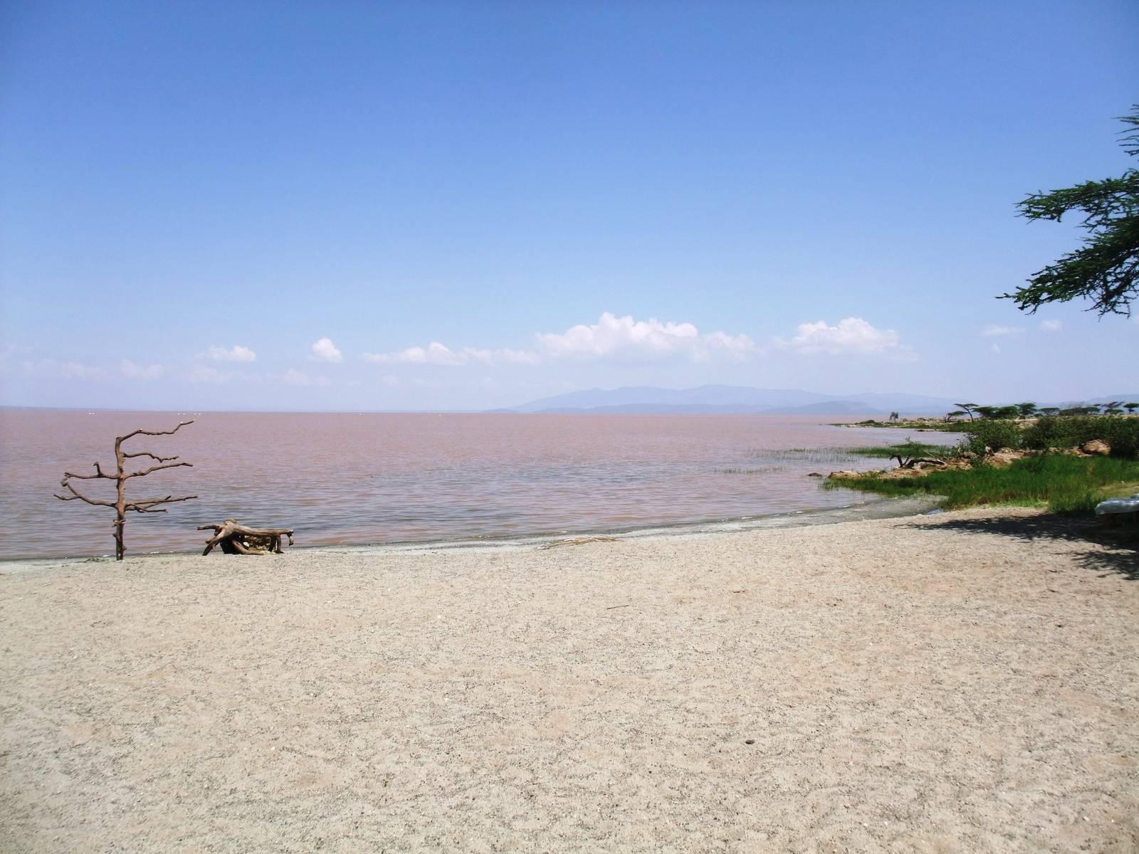Lake Langano from Bishangari Lodge, 14/10/14