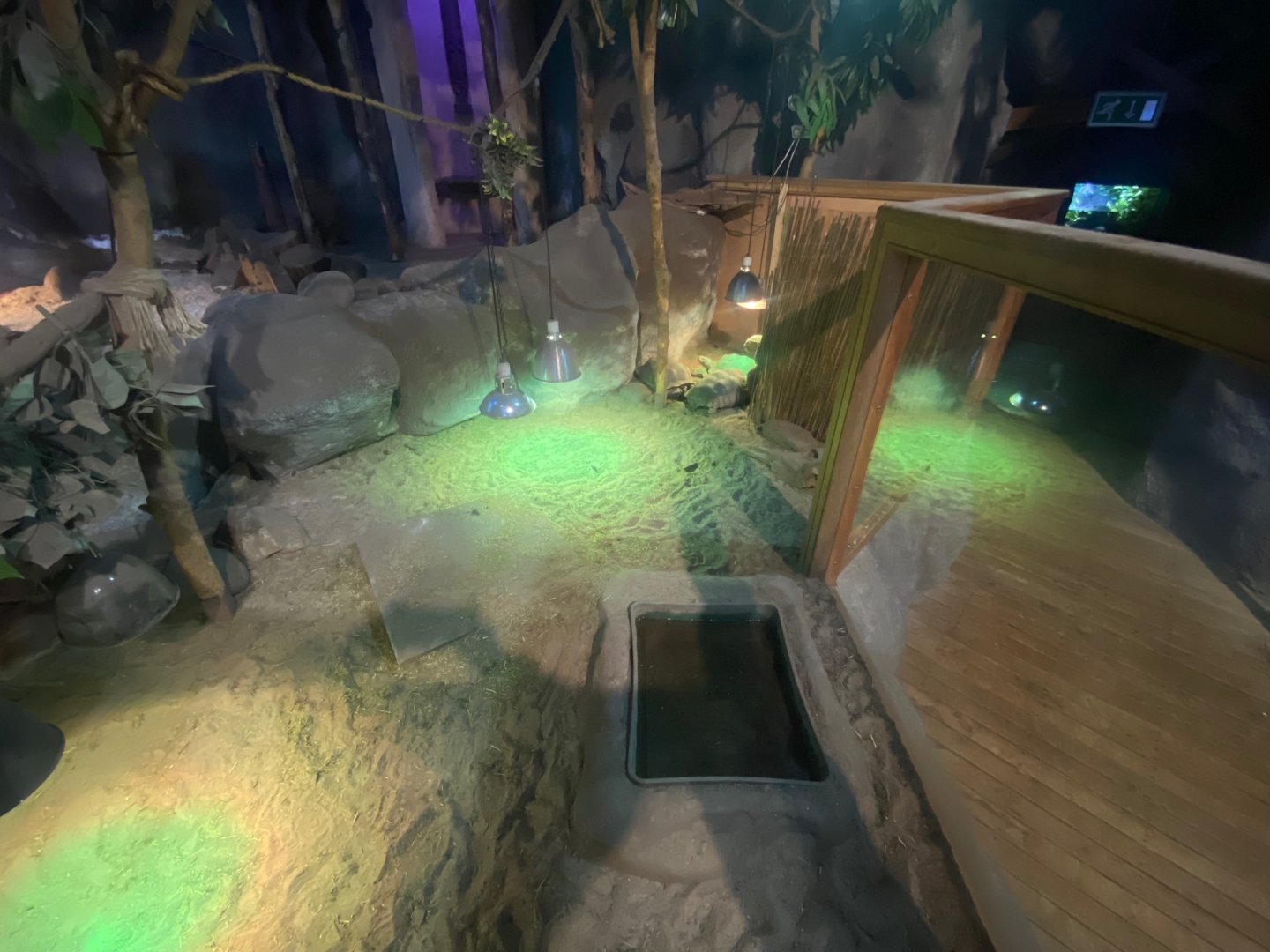 Lake Malawi - African spurred tortoise exhibit 251123