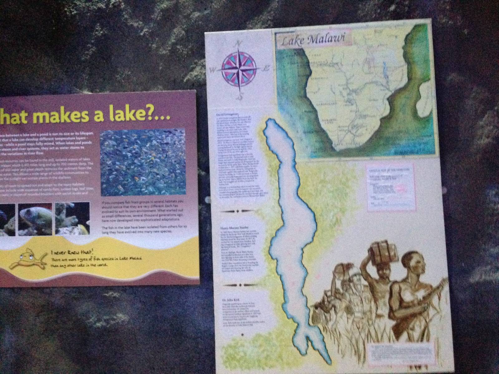 Lake Malawi Information Sign at Blue Planet Aquarium - 05/10/2013