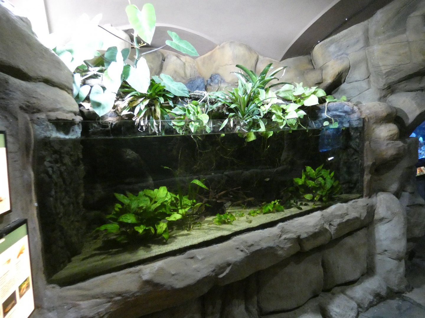 Lake Maracaibo exhibit