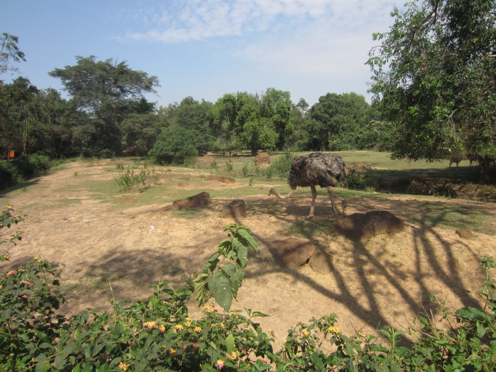 Lake Mburo Exhibit