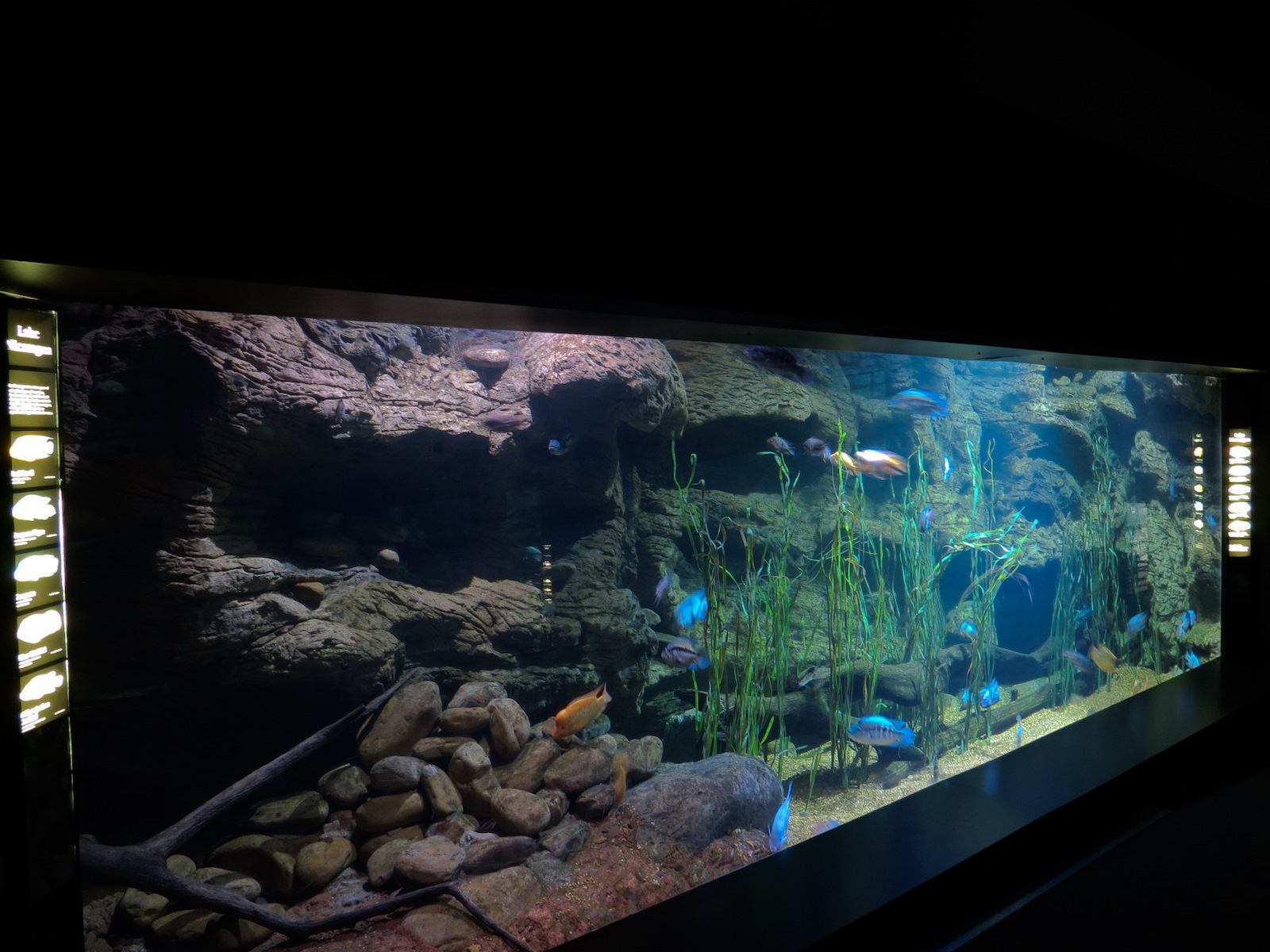 Lake Nicaragua Exhibit