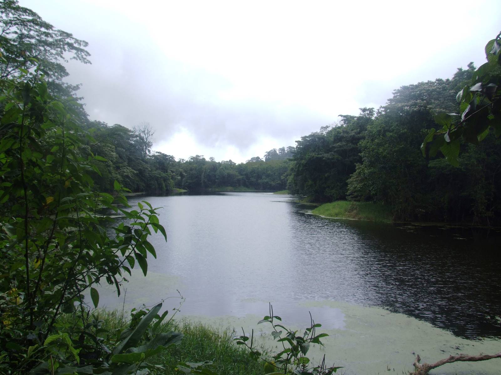 'Lake of Ducks', Arenal, 18/04/14