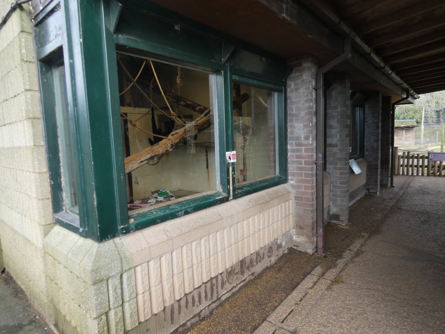 Lake primate house viewing area