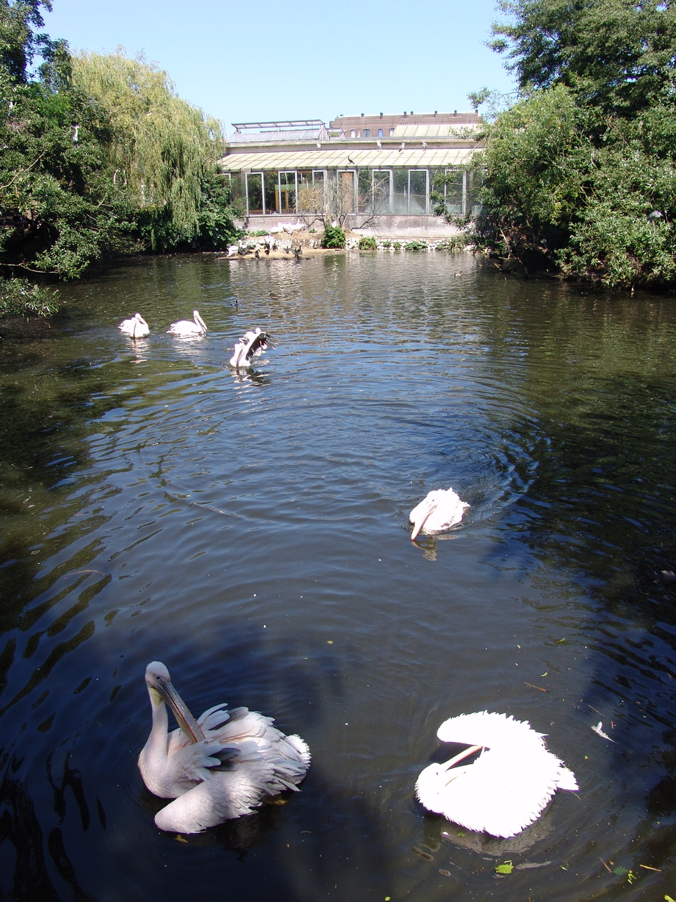 Lake & Reptile House