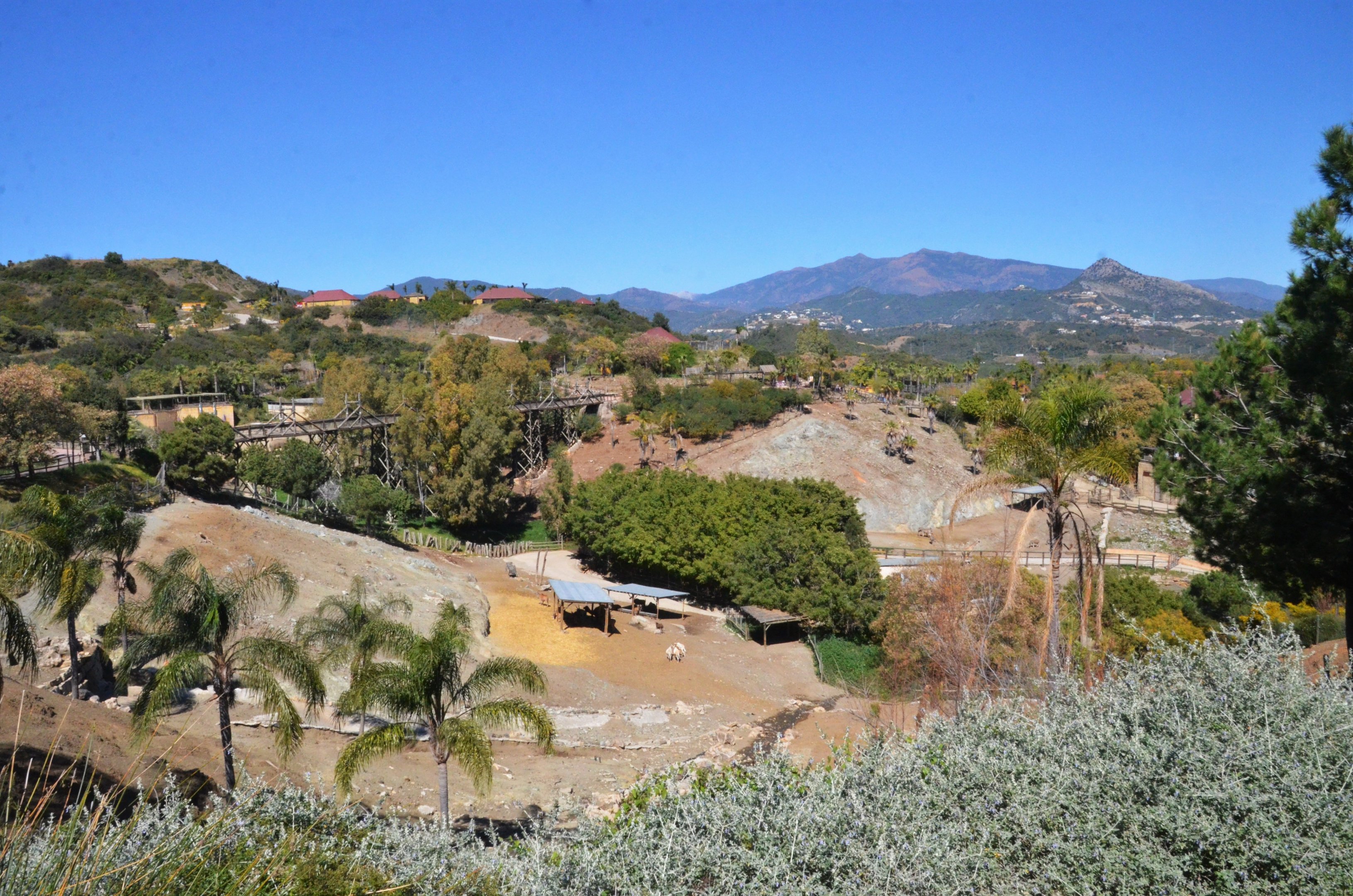 Lake Reserve and Giraffe/Zebra Paddock View at Selwo Aventura, 13/03/19