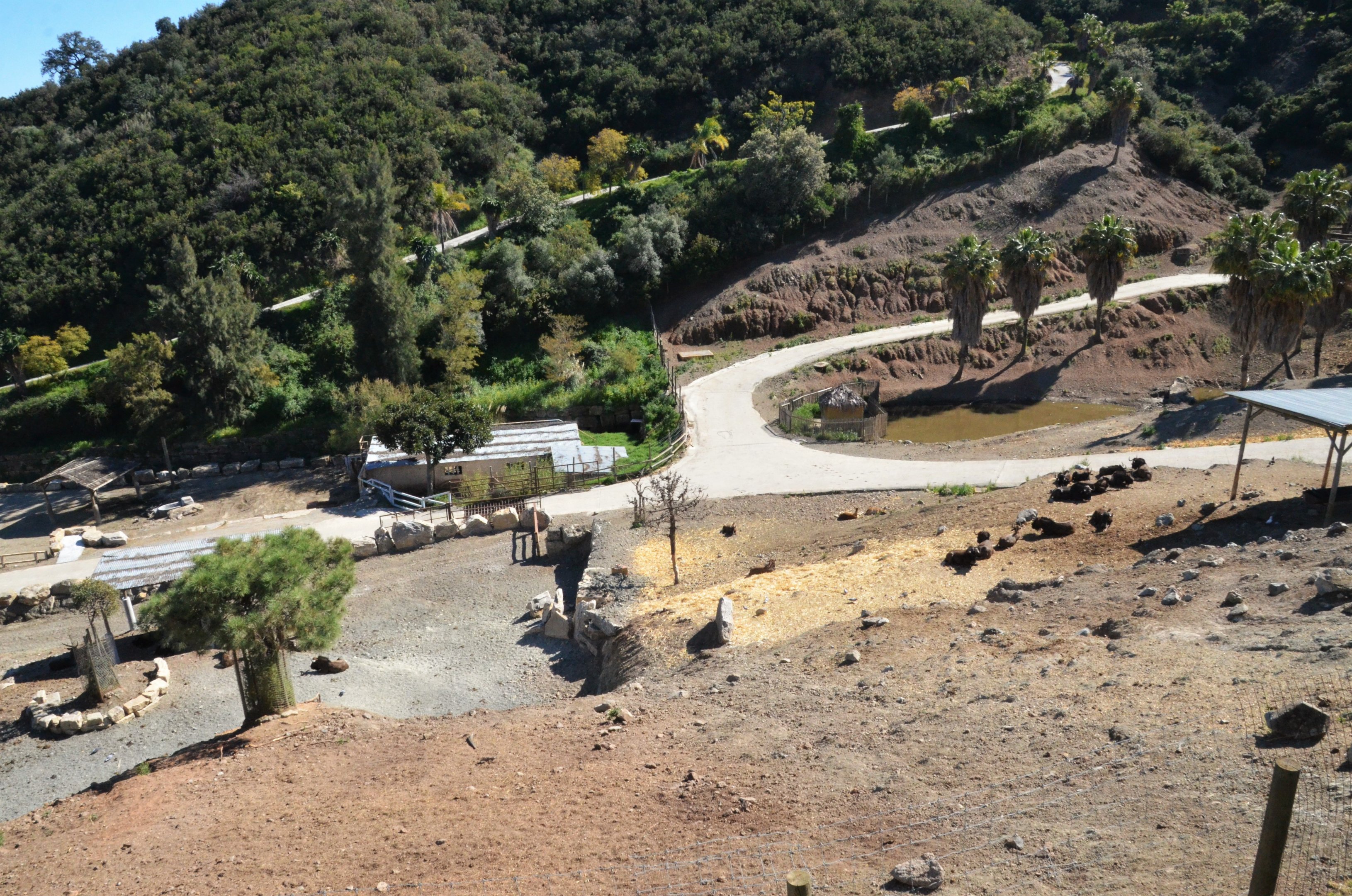 Lake Reserve and Rhino House at Selwo Aventura, 13/03/19