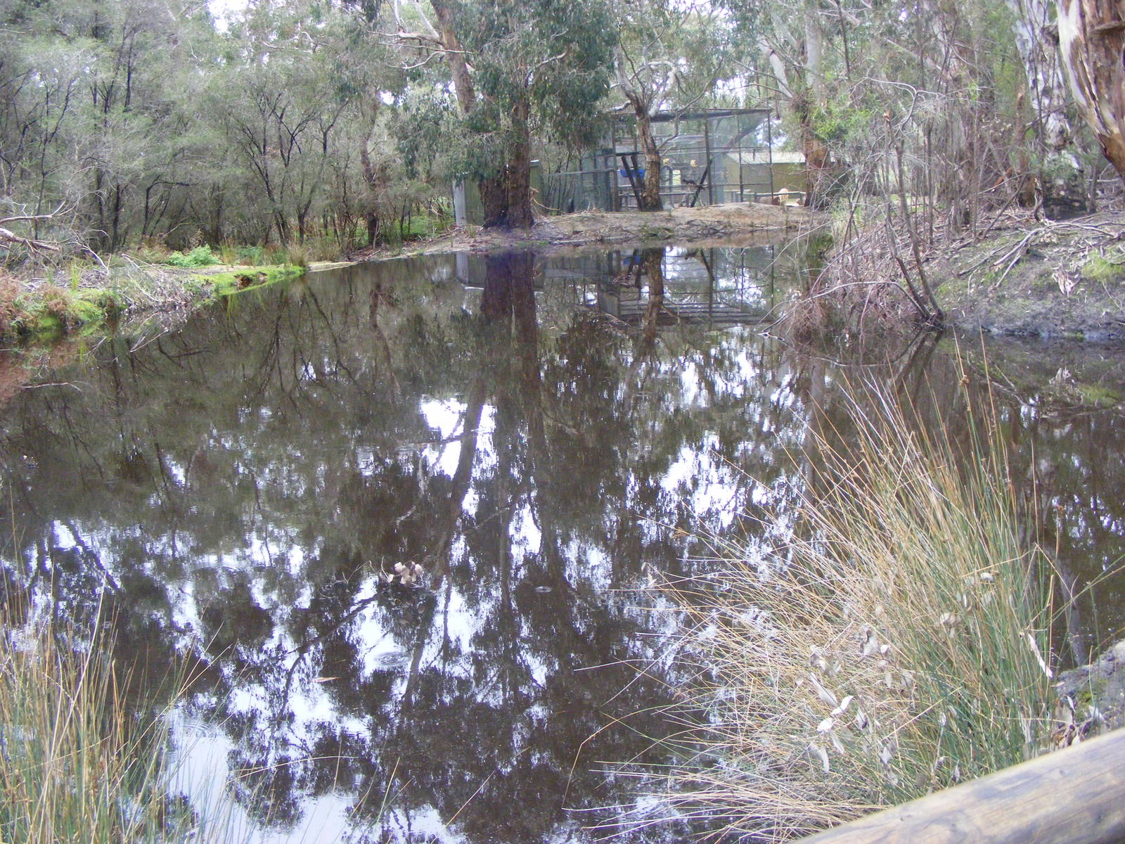 Lake - September, 2009