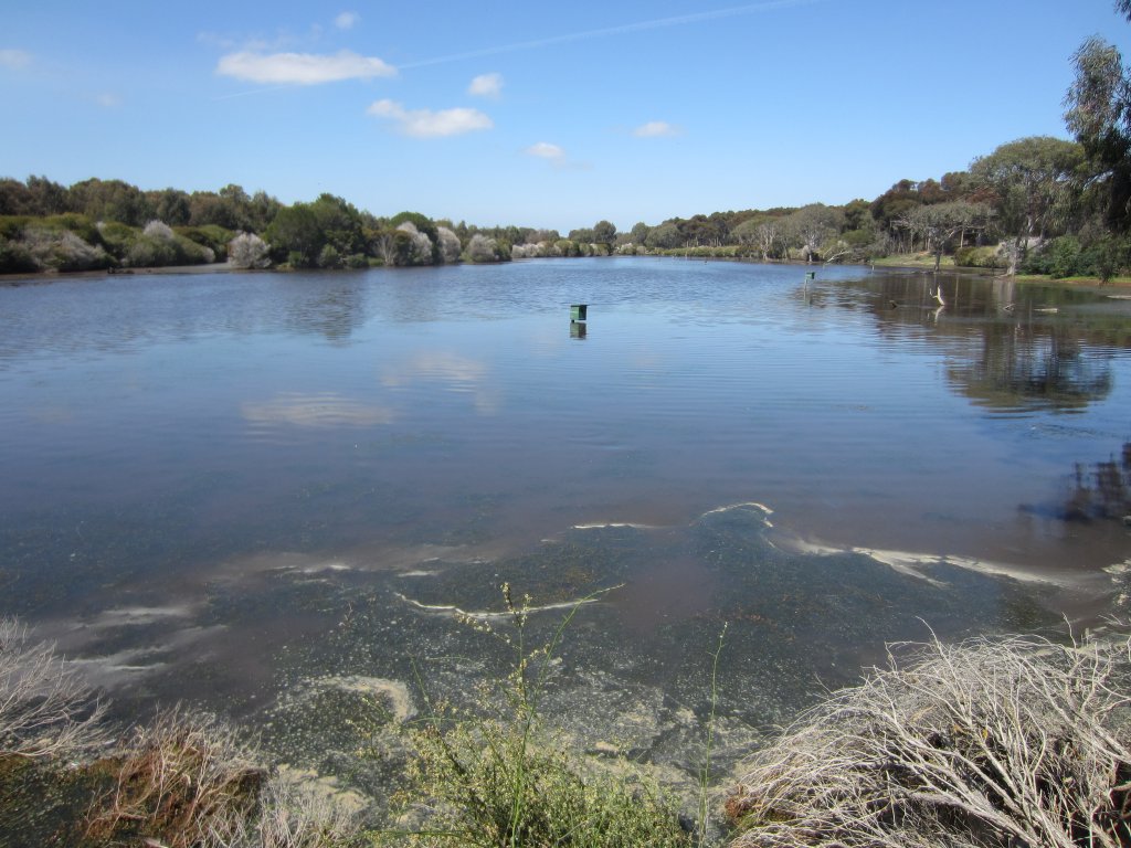 Lake Serendip North Arm