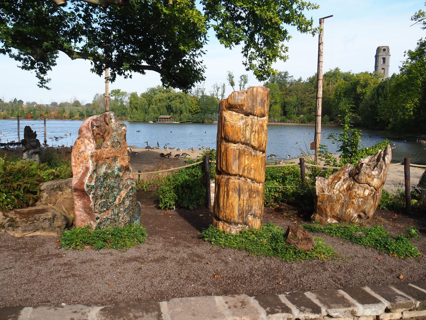 Lake-side gardens with large old plane trees, rocks and petrified wood, 2019-10-04