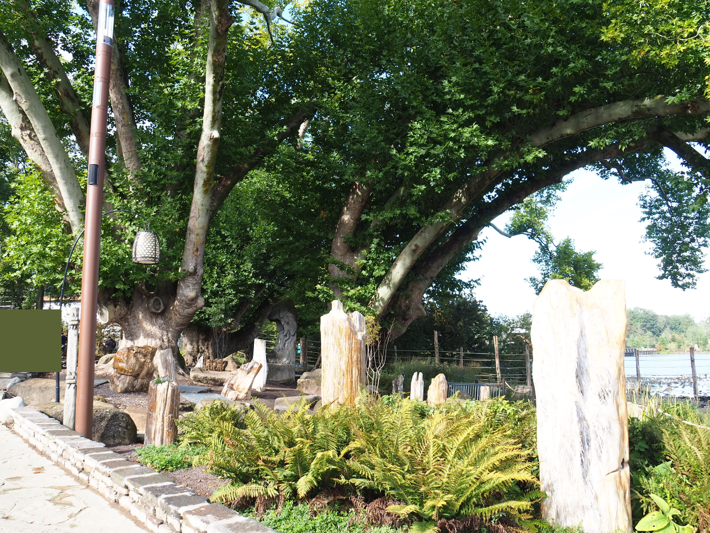 Lake-side gardens with large old plane trees, rocks and petrified wood, 2019-10-04