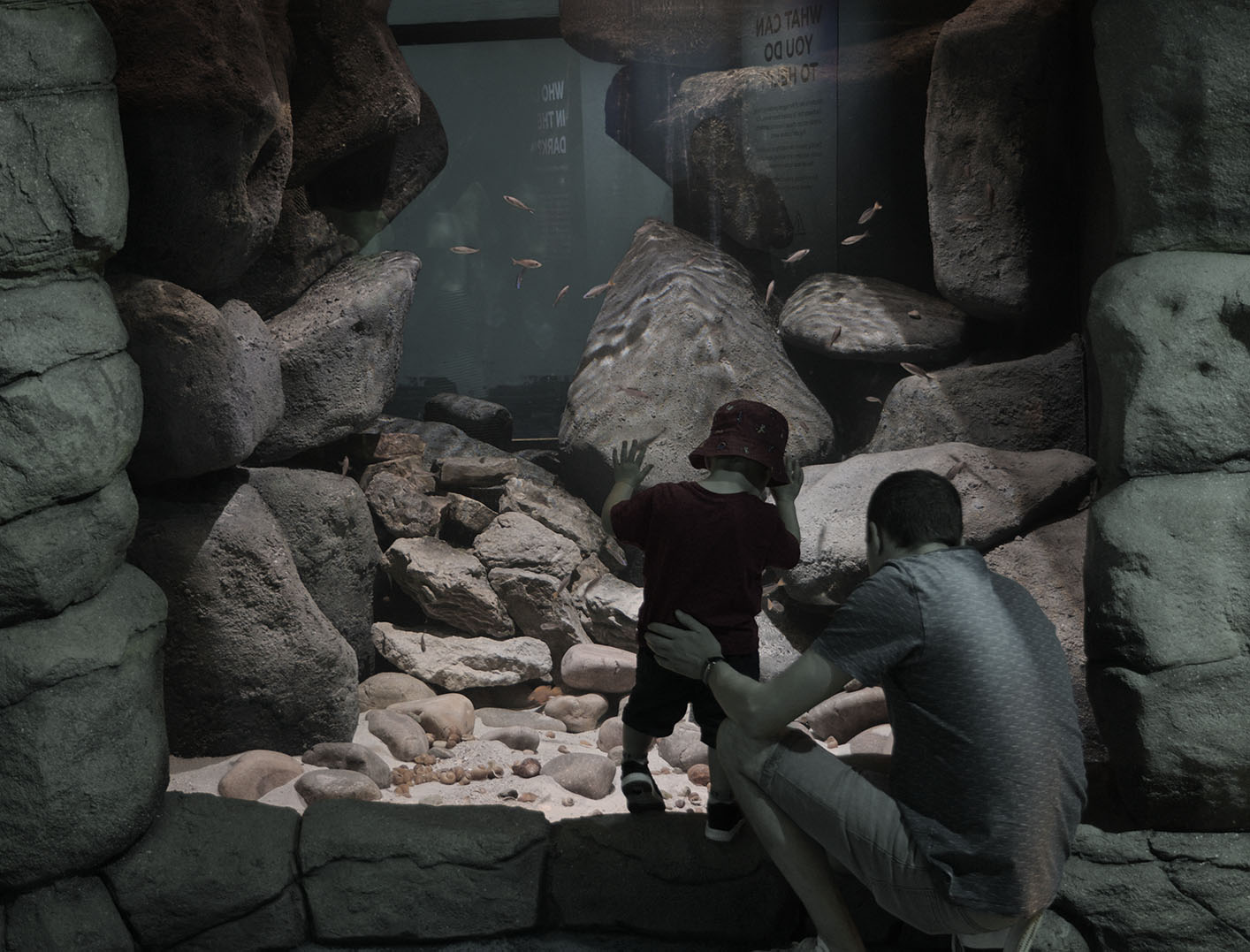 Lake Tanganyika exhibit